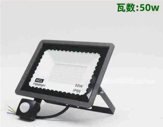 投光燈, 人體感應 50W